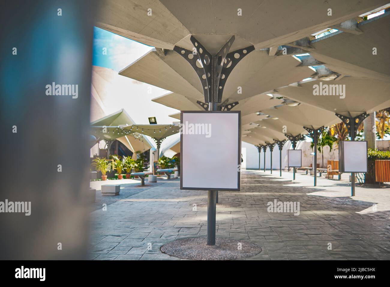 Scatola luminosa vuota sulla strada di una città. Segnaposto Billboard su un viale cittadino in un vicolo all'aperto, focalizzato in modo selettivo Foto Stock