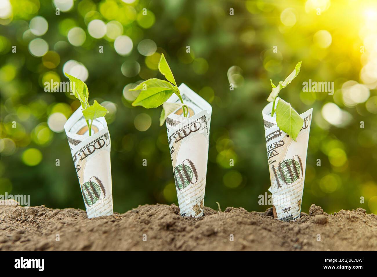 Alberi con soldi, risparmi e soldi. Le piante giovani crescono da terra in 100 dollari bollette Eco-friendly denaro. Guadagnare soldi in agricoltura, concetto. Foto Stock