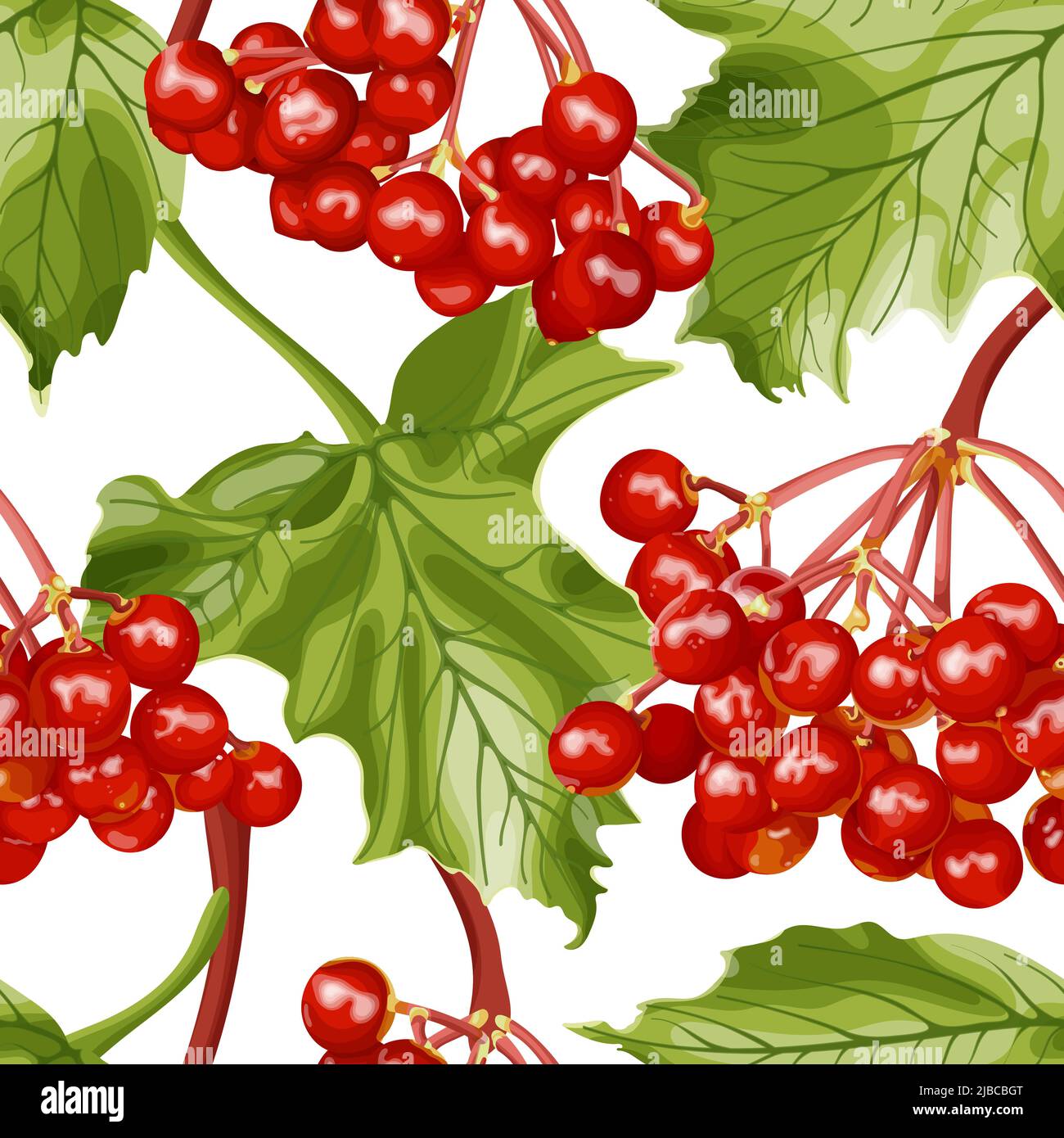 Modello senza cuciture con bacche di viburnum su sfondo bianco. Guelder rosa. Illustrazione Vettoriale