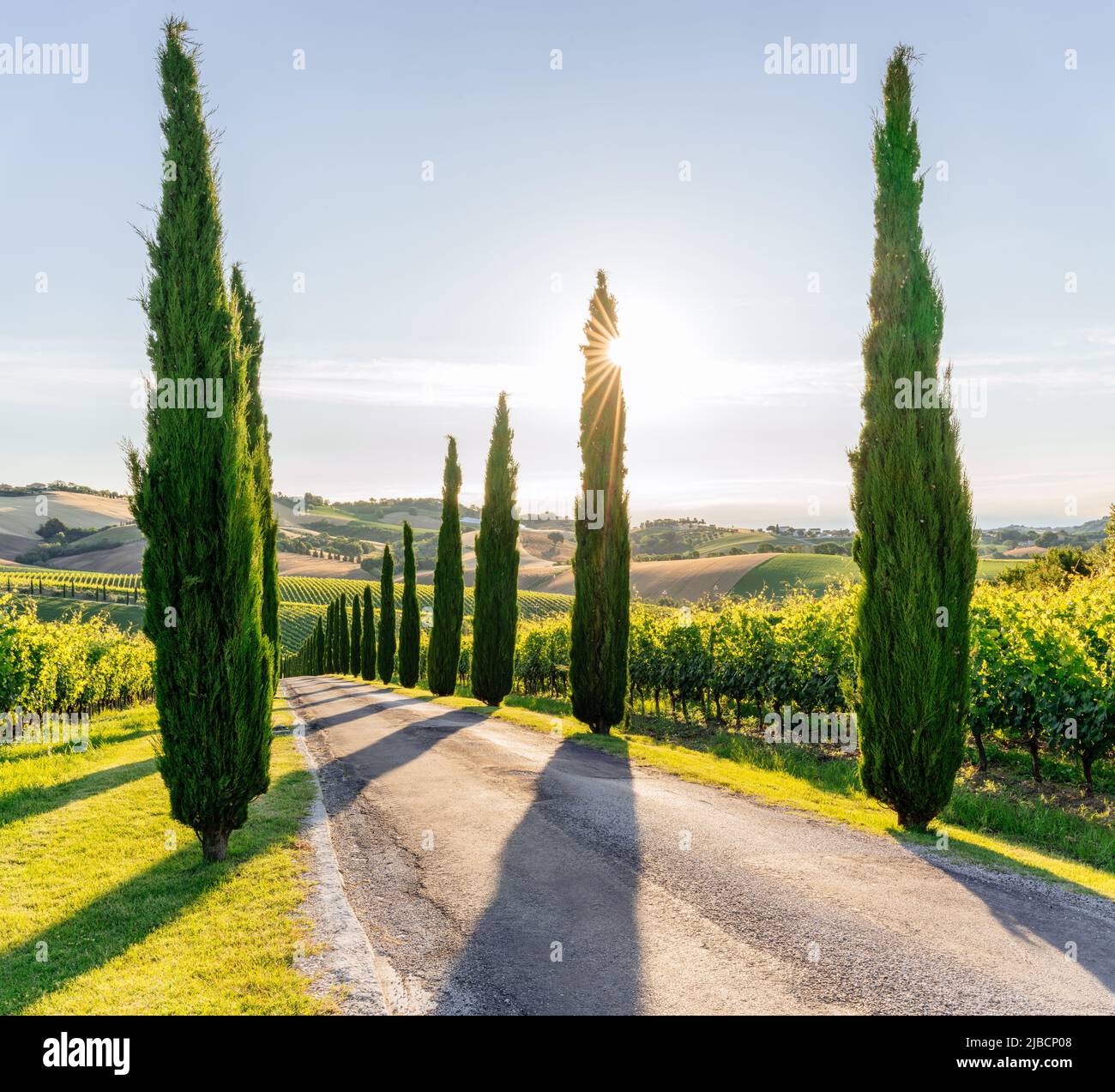 Regione Marche, Italia. Paesaggio rurale Foto Stock