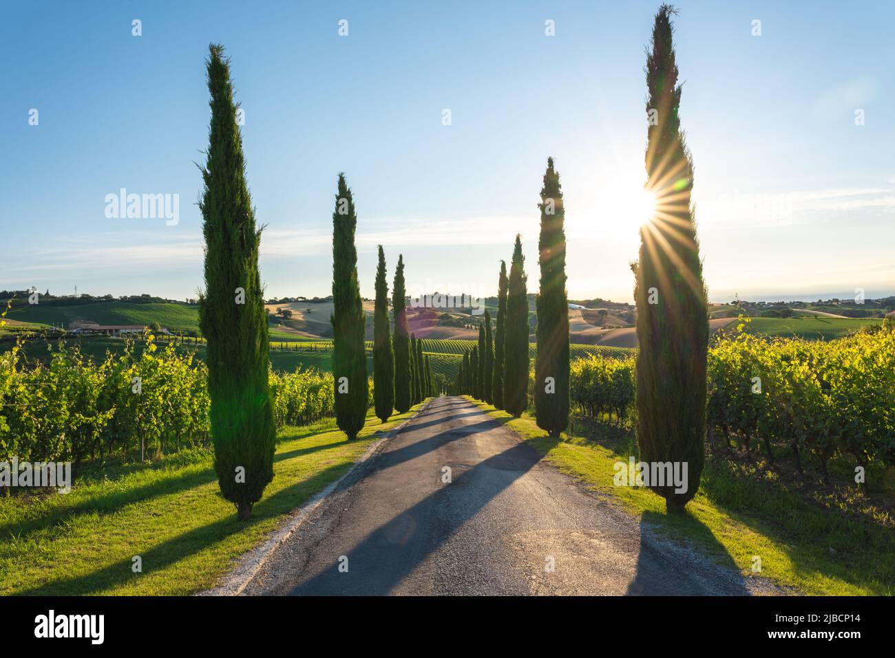 Regione Marche, Italia. Paesaggio rurale Foto Stock