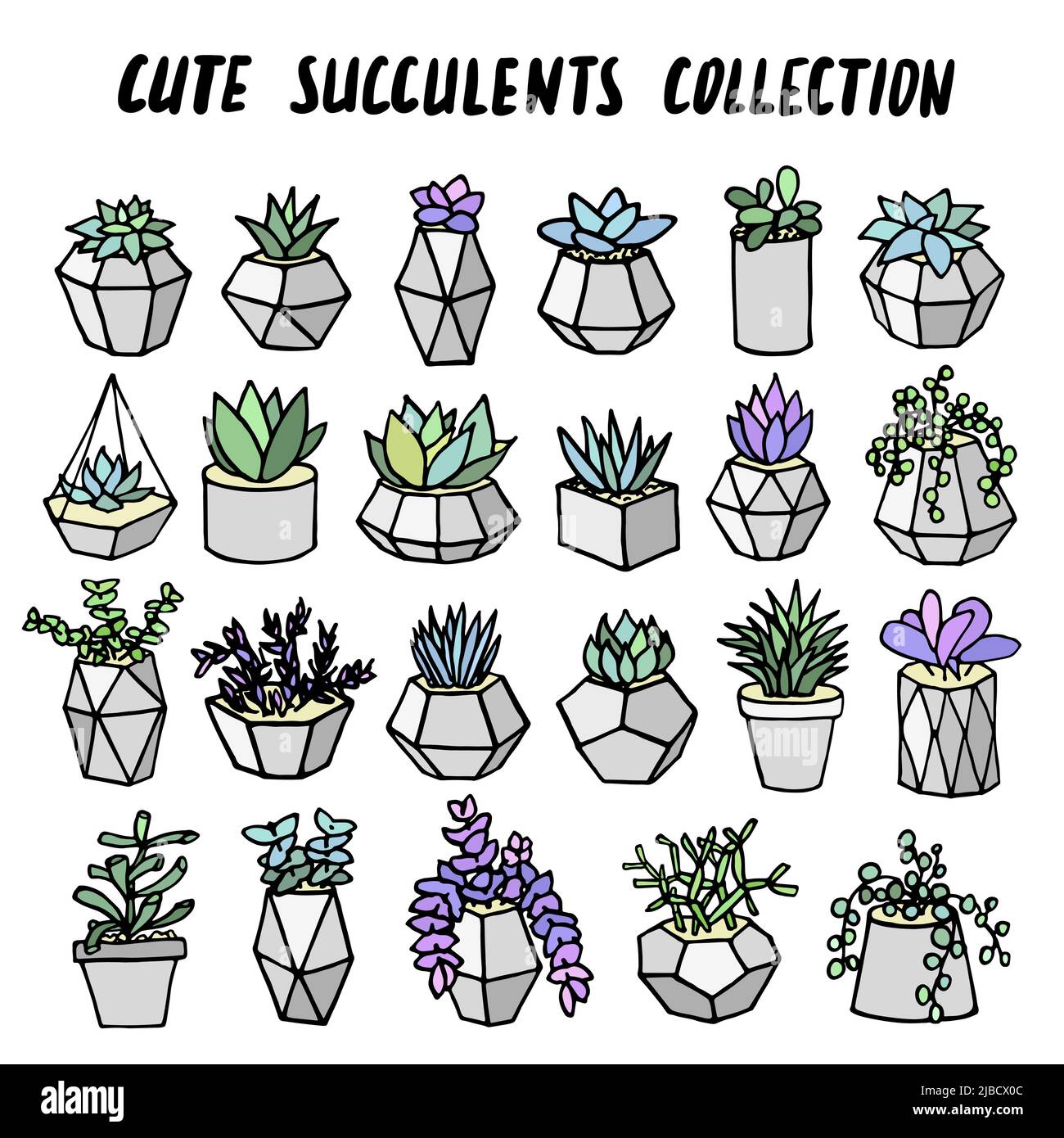 Set di succulenti cactus houseplants in vasi di fiori grigi. Icone vettoriali su sfondo bianco Illustrazione Vettoriale