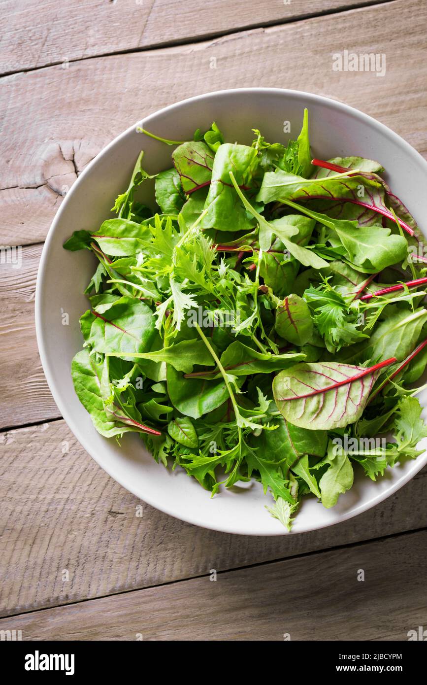 Miscela insalata verde. Insalata verde sana, foglie biologiche fresche mescolare insalata con rucola, strutto svizzero e lattuga primo piano. Foto Stock