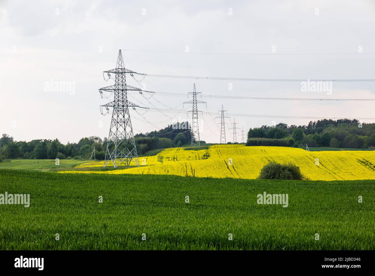 Poli elettrici ad alta tensione e linee elettriche di trasmissione in campo agricolo Foto Stock