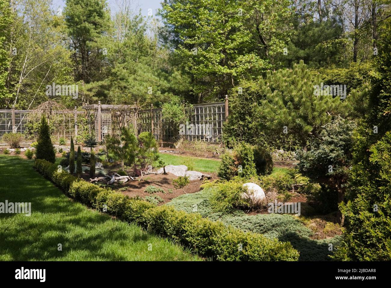 Confine con alberi sempreverdi misti e arbusti in giardino cortile in primavera. Foto Stock