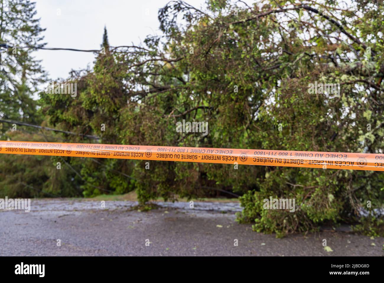 La cassetta di sicurezza della polizia è visibile bloccando l'accesso alla strada principale con alberi sfocati in fondo causando ostruzione dopo la tempesta. Con spazio per la copia. Foto Stock