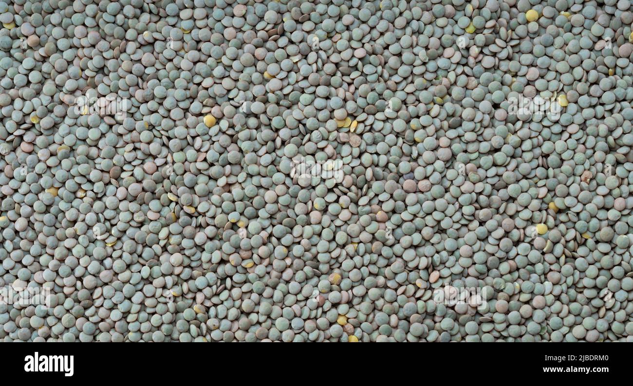 Lenticchie verdi. Legumi sfondo. Texture di dettaglio vegetale Foto Stock