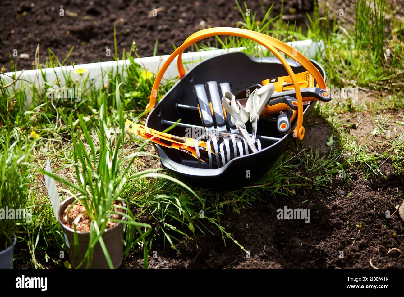 Abbey Hey allotments, a Gorton, Manchester per rendere le api giardini amichevoli per il World Bee Day Foto Stock