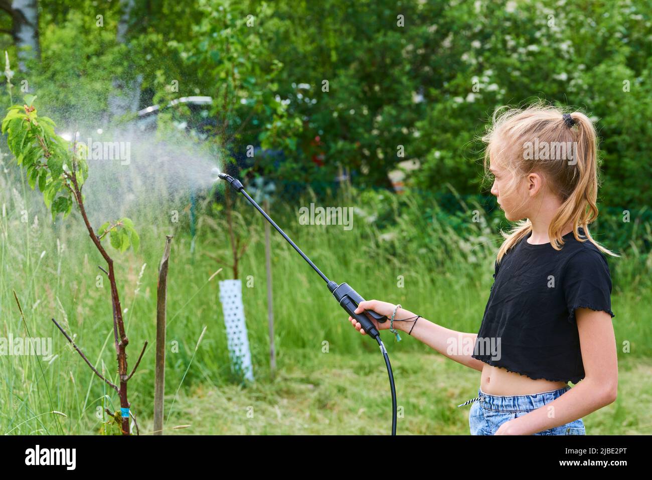 Ragazza adolescente spruzzando prodotto ecologico contro afidi e altri parassiti su alberi da frutto e altri alberi nel giardino e frutteto. Messa a fuoco selettiva Foto Stock