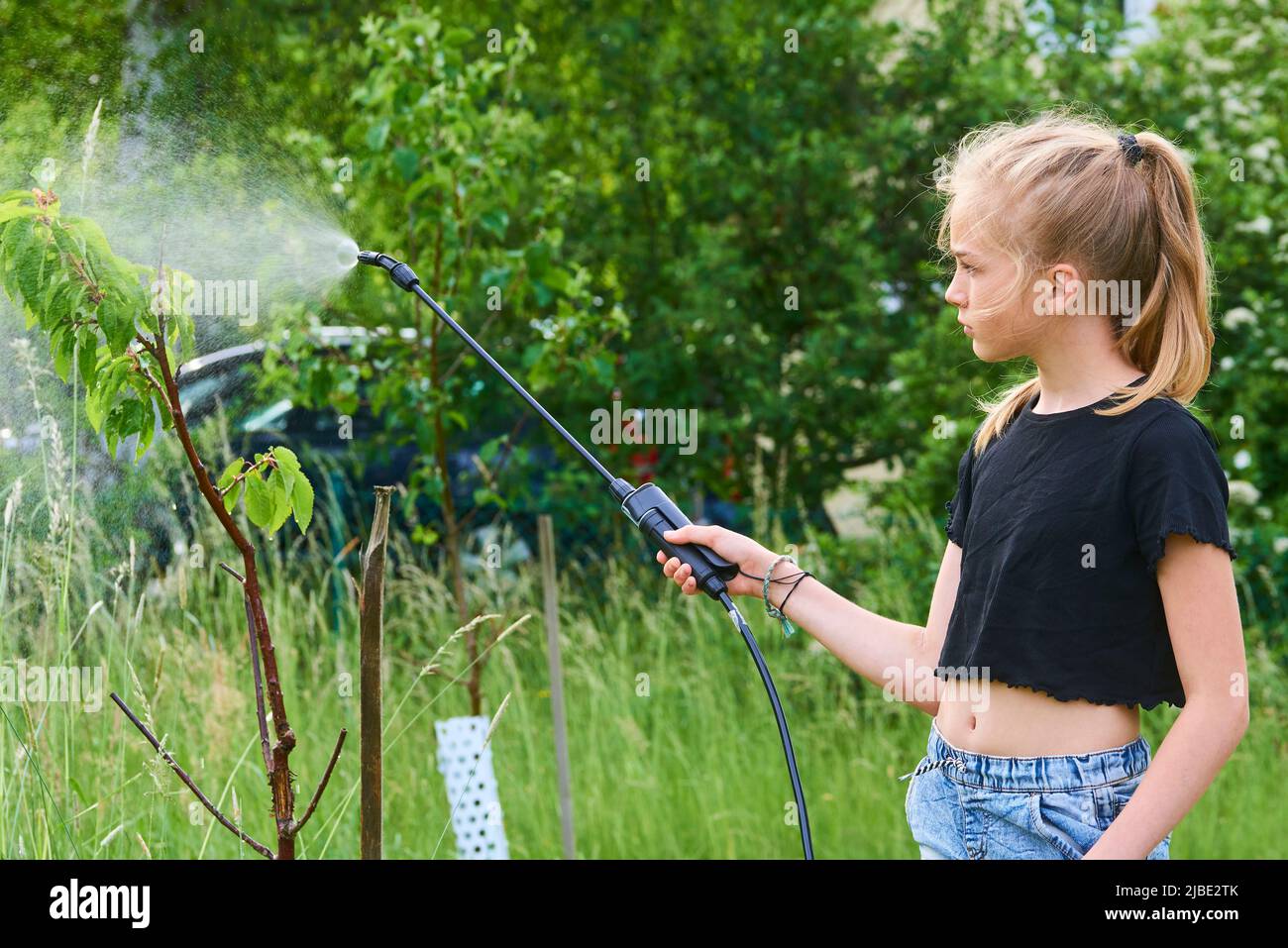 Ragazza adolescente spruzzando prodotto ecologico contro afidi e altri parassiti su alberi da frutto e altri alberi nel giardino e frutteto. Messa a fuoco selettiva Foto Stock