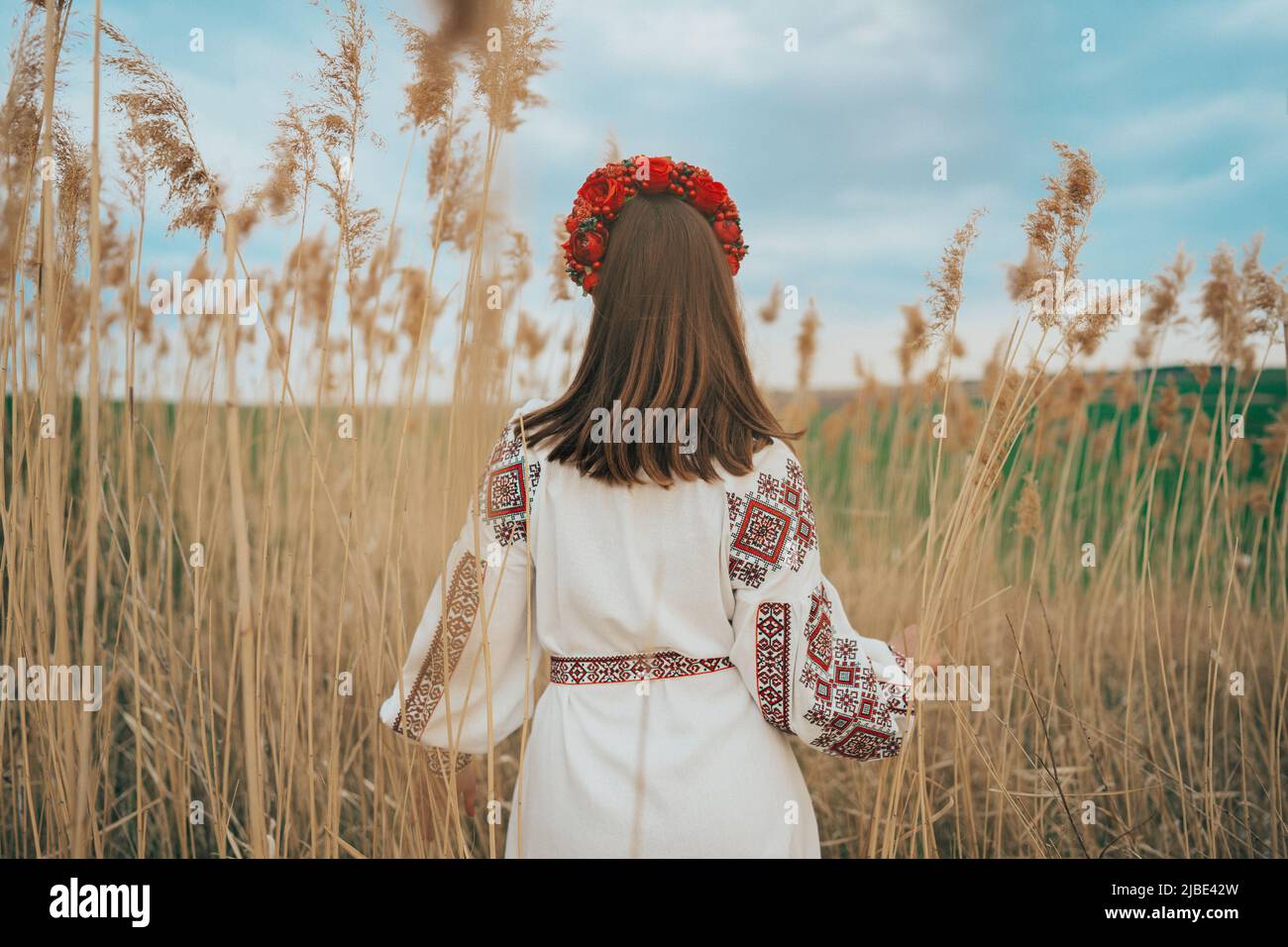 Vista posteriore della donna ucraina in vyshivanka vestito su sfondo naturale. Foto Stock