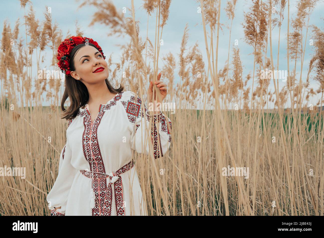 Donna Ucraina in vyshivanka ricamato vestito su sfondo naturale. Foto Stock