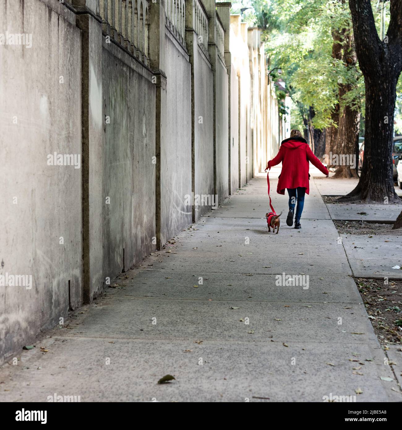 Donna latina che cammina il suo cane, entrambi vestiti di rosso Foto Stock