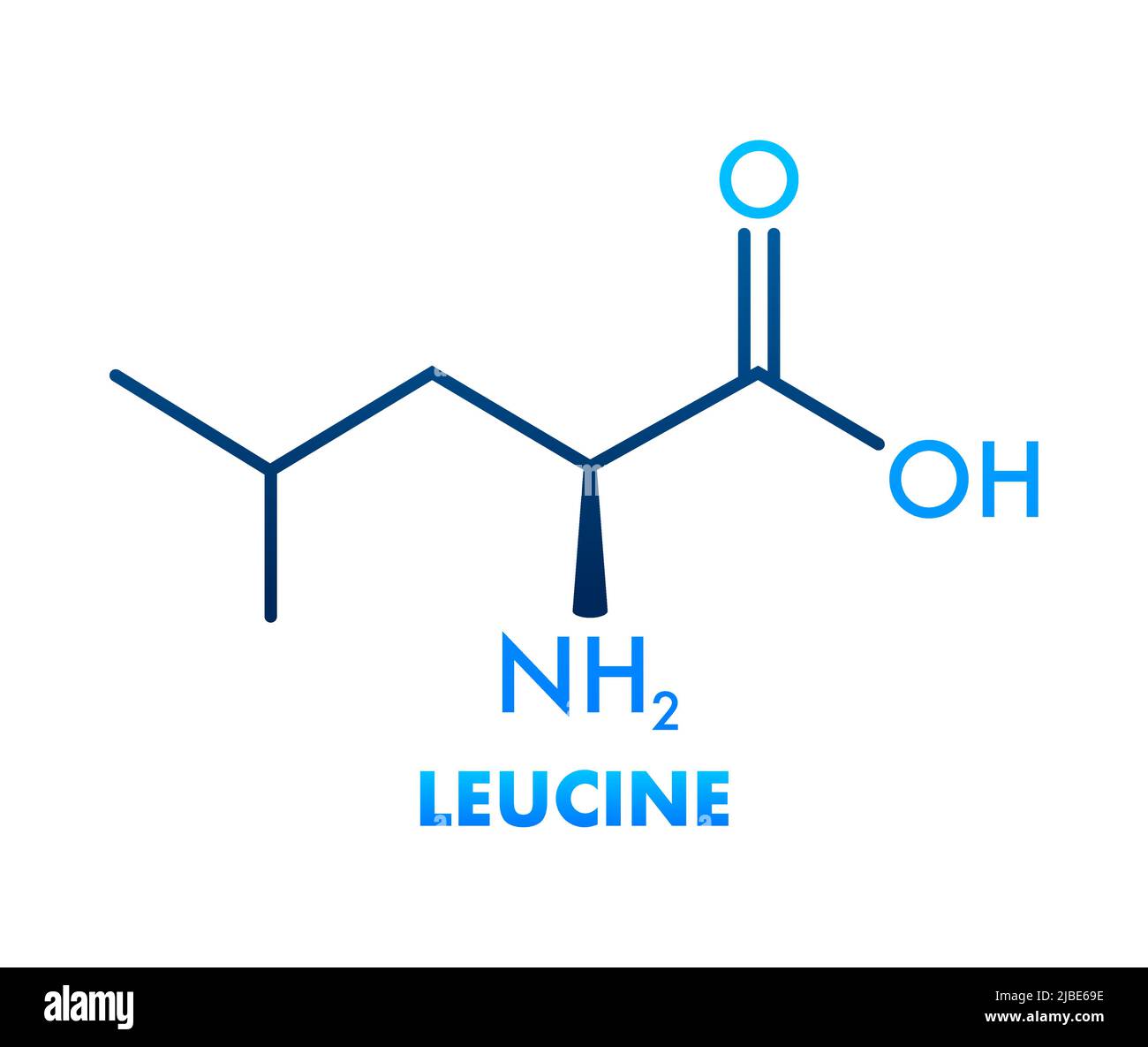 Icona con formula di leucina. Formula molecolare essenziale degli aminoacidi Illustrazione Vettoriale