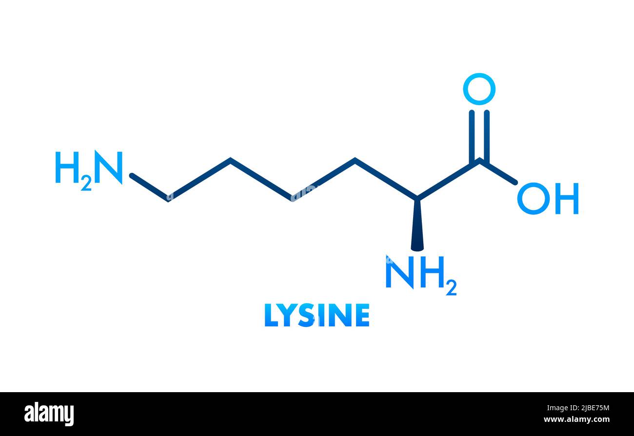 Formula di lisina, grande disegno per qualsiasi scopo. Aminoacidi essenziali formula scheletrica semplice. Illustrazione Vettoriale