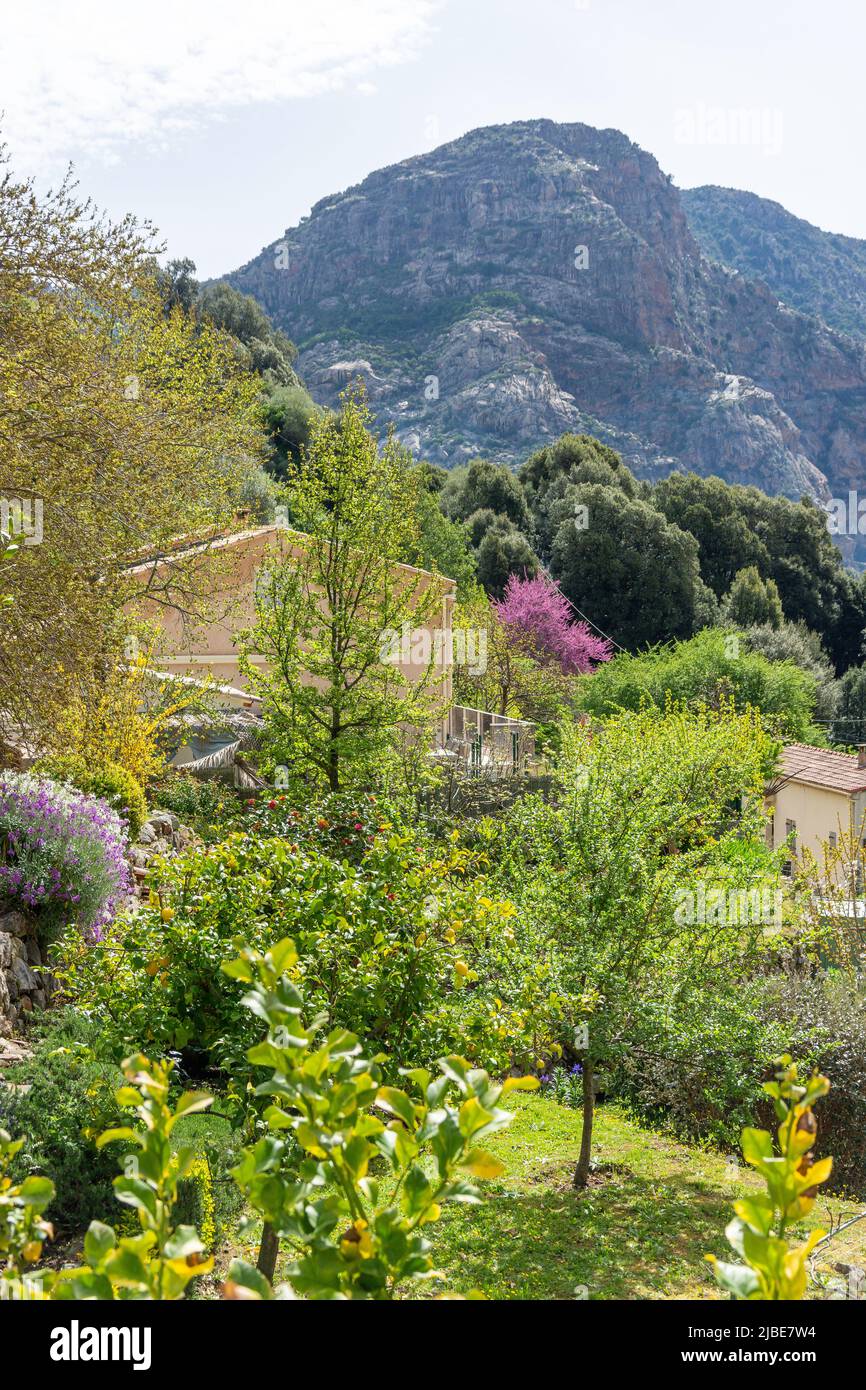 Vista sul paesaggio montano dal villaggio, Ocana, Corsica (Corsica), Corse-du-Sud, Francia Foto Stock