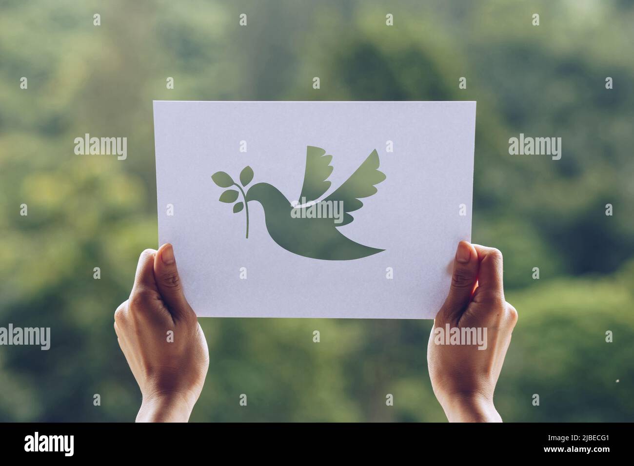 Mostra carta tagliata con il logo del modello di piccione del concetto di pace, Giornata Internazionale della Pace Foto Stock
