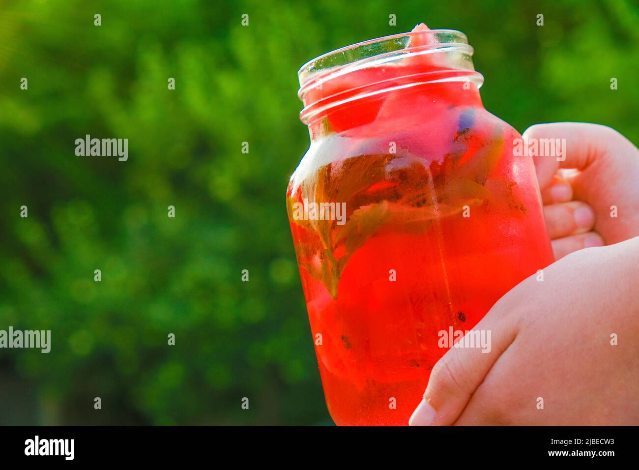 Dieta di cocomero bevanda estiva. Dessert di cocomero. Bevanda di cocomero con stevia. Raffreddamento rosso con cocktail di ghiaccio in tazza di vetro appannata. Cocomero basso Foto Stock