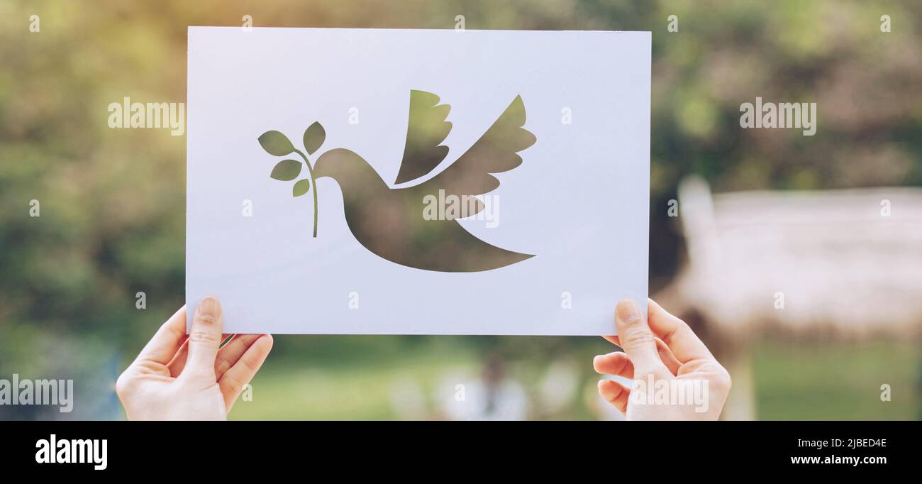 Mostra carta tagliata con il logo del modello di piccione del concetto di pace, Giornata Internazionale della Pace Foto Stock