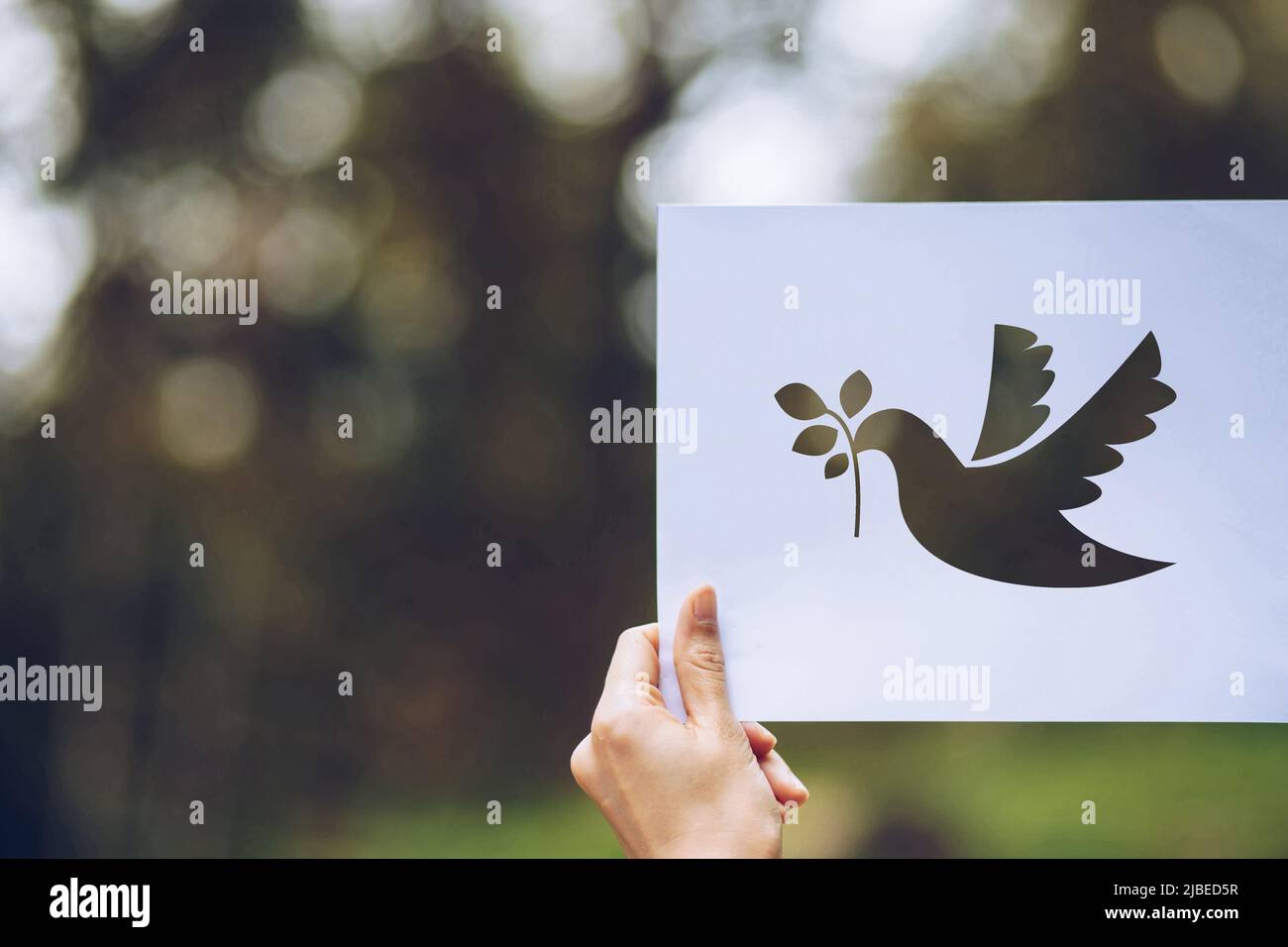 Mostra carta tagliata con il logo del modello di piccione del concetto di pace, Giornata Internazionale della Pace Foto Stock
