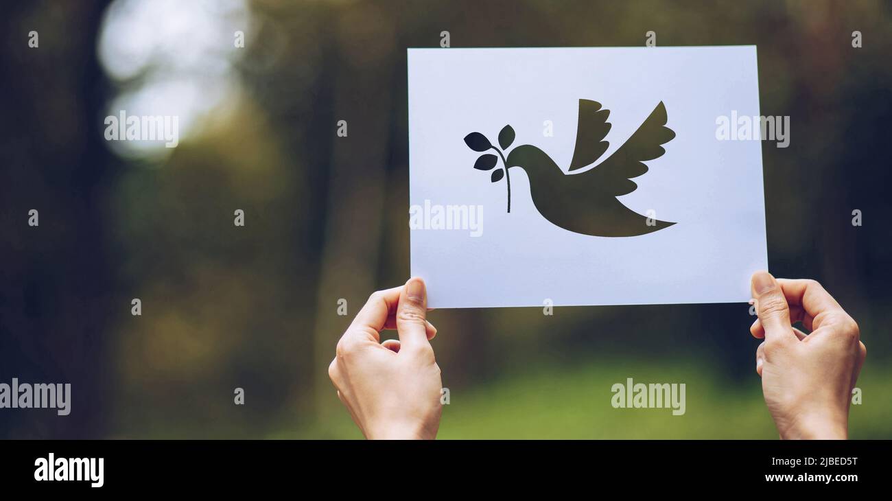 Mostra carta tagliata con il logo del modello di piccione del concetto di pace, Giornata Internazionale della Pace Foto Stock