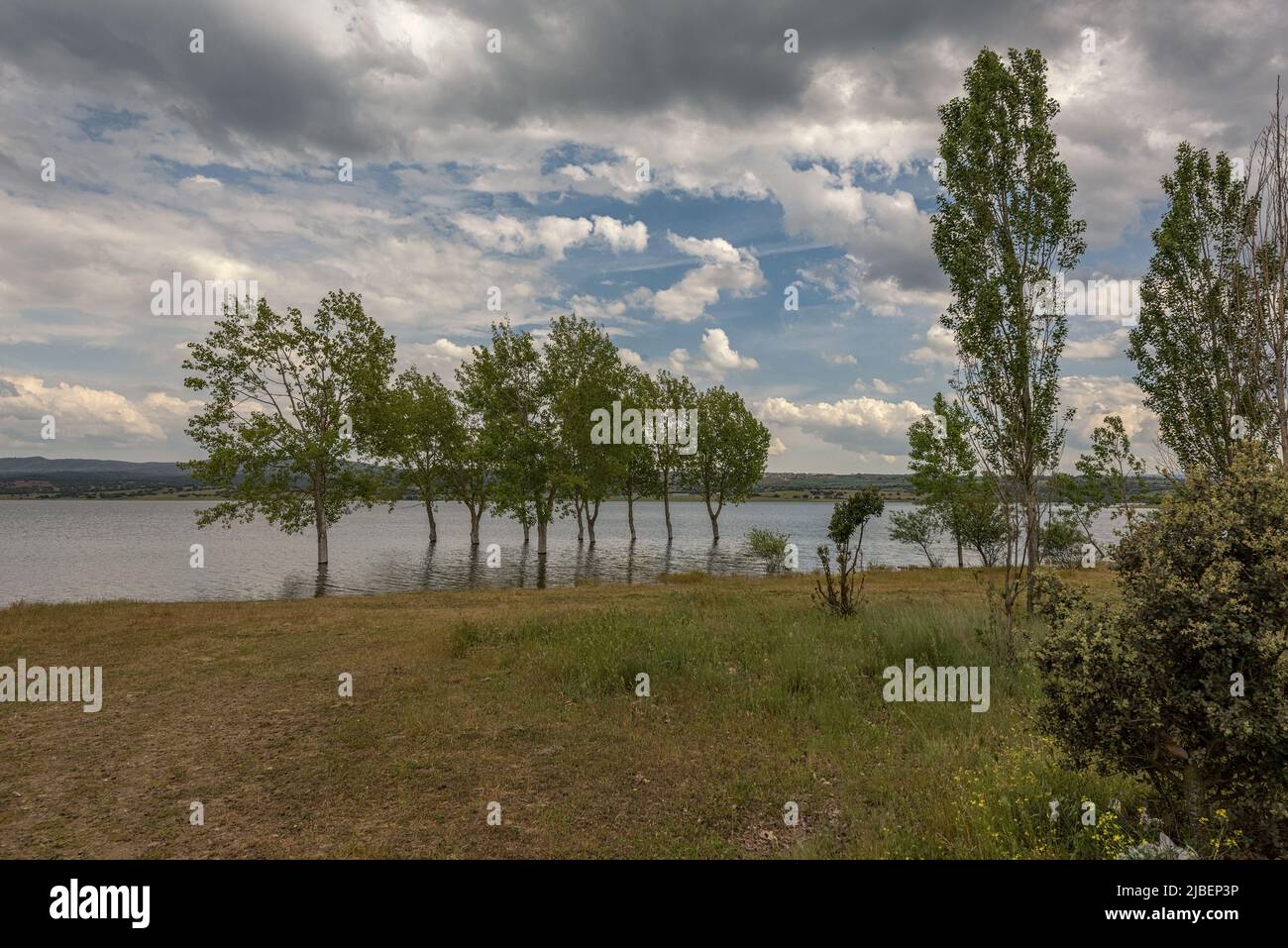 Vista sul lago artificiale alange, Badajoz, Extremadura, Spagna Foto Stock