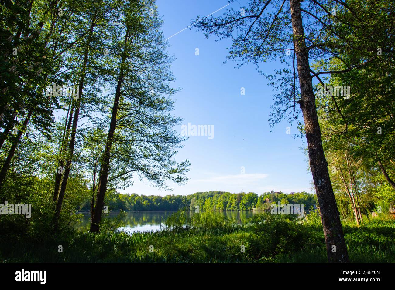 Wesslinger See in Baviera, riserva naturale e biotopo Foto Stock