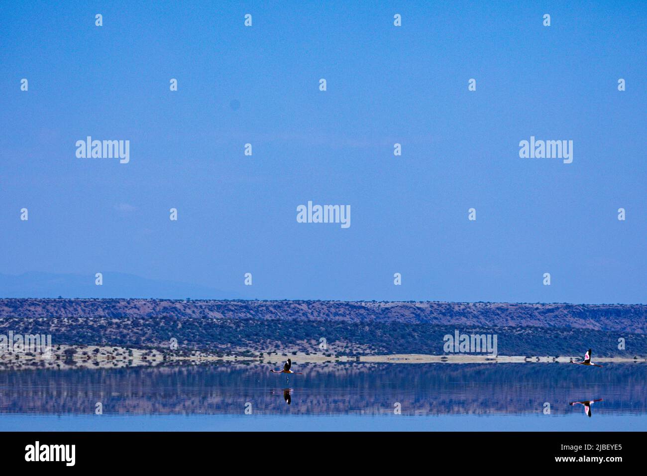 Kenyan Landscapes Lake Magadi è il lago più a sud della Rift Valley del Kenya, situato in un bacino di rocce vulcaniche fagliate, a nord della Tanzania Foto Stock