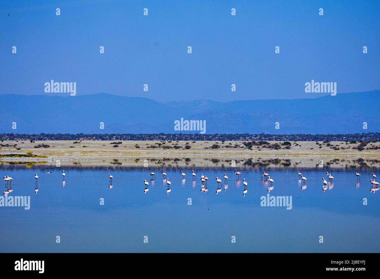 Kenyan Landscapes Lake Magadi è il lago più a sud della Rift Valley del Kenya, situato in un bacino di rocce vulcaniche fagliate, a nord della Tanzania Foto Stock