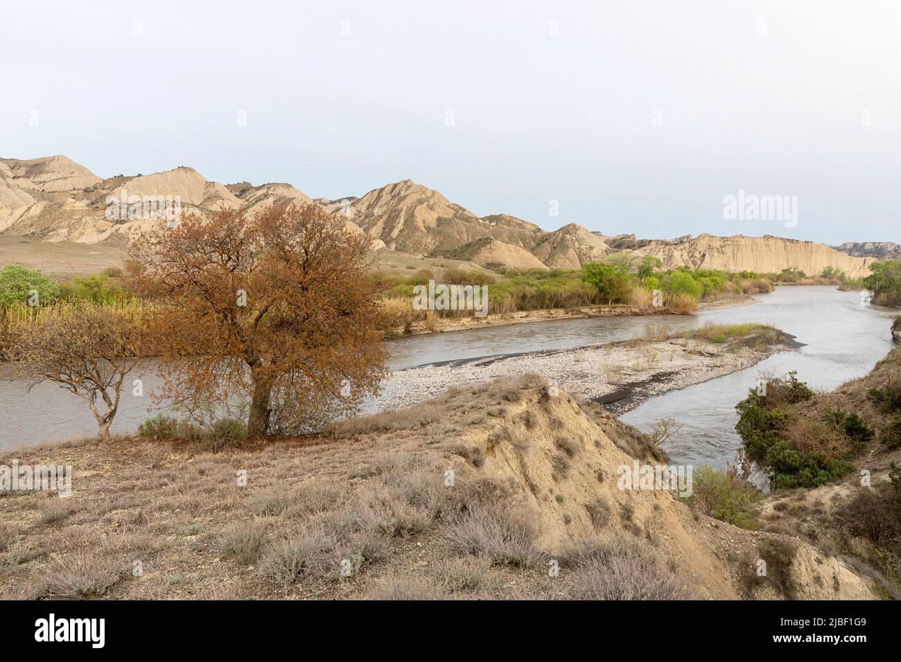 Bellissimo paesaggio semidesert di alazani zona del fiume, confine con l'Azerbaigian in remoto vashlovani parco nazionale in georgia Foto Stock