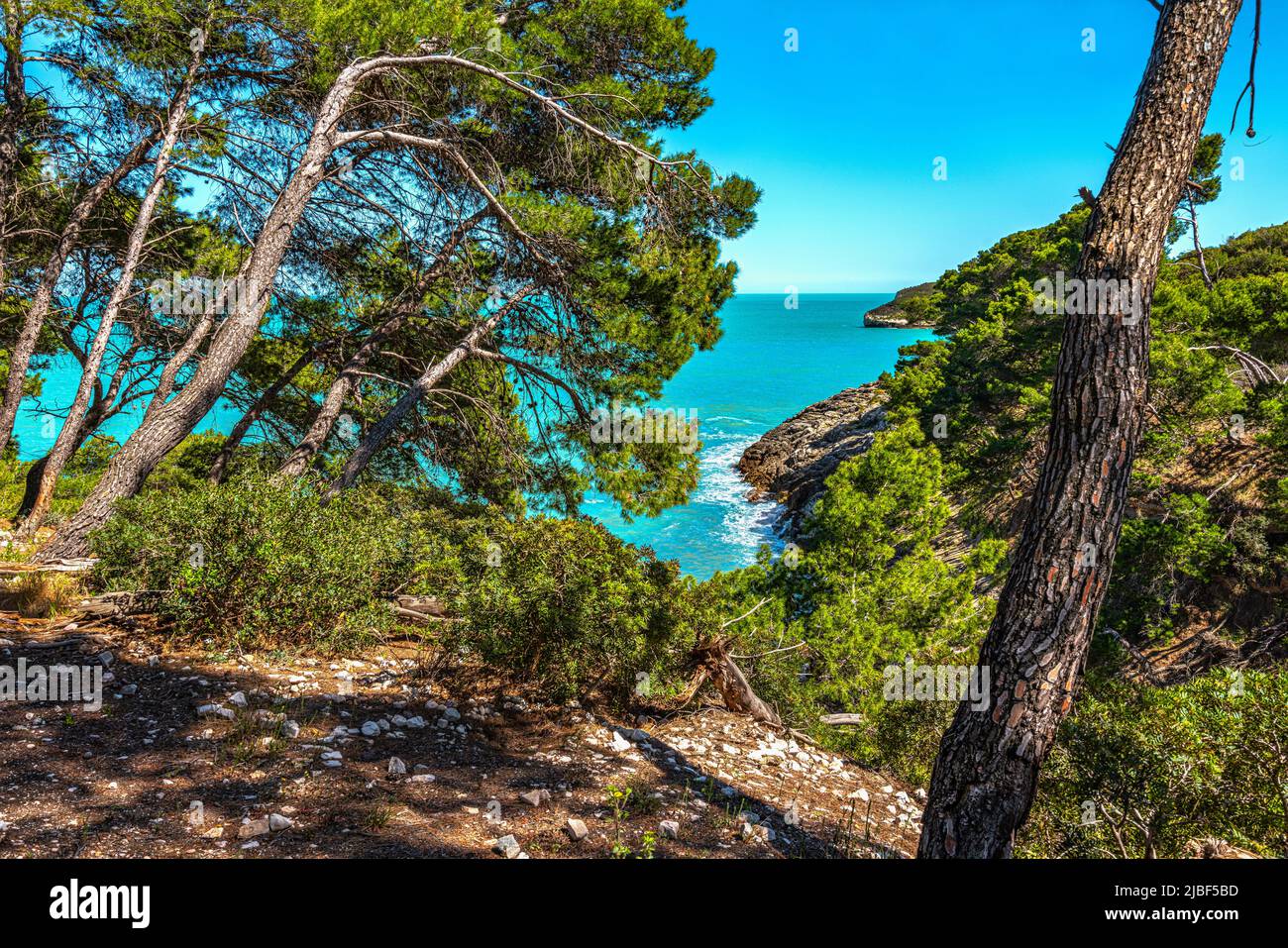 Panorama del mare e della costa pugliese con i boschi della vegetazione mediterranea che lo ricopre. Parco Nazionale del Gargano, Puglia Foto Stock