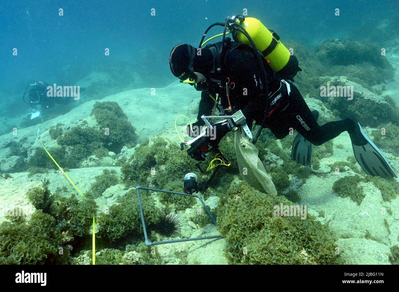 Biologi marini che indagano la vita bentonica in Kas Kekova Marine Protected Area Turchia Foto Stock