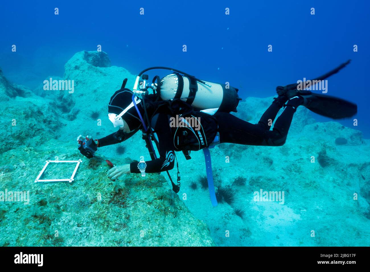 Biologi marini che indagano la vita bentonica in Kas Kekova Marine Protected Area Turchia Foto Stock