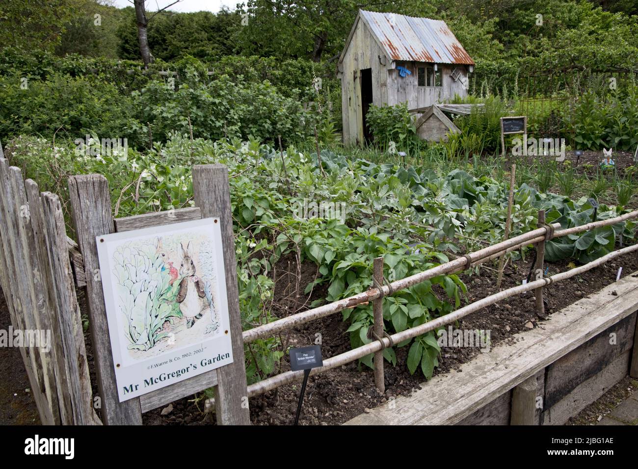 RHS Garden Rosemoor North Devon Foto Stock