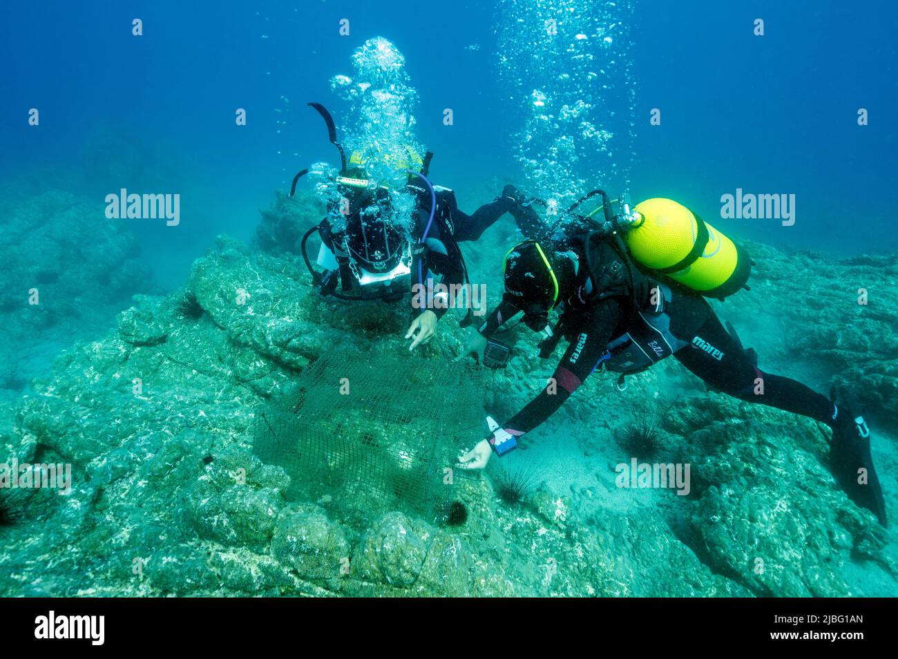 Biologi marini che esaminano l'esperimento della gabbia per il restauro di macro alghe nella baia di Gokova, in Turchia. Foto Stock