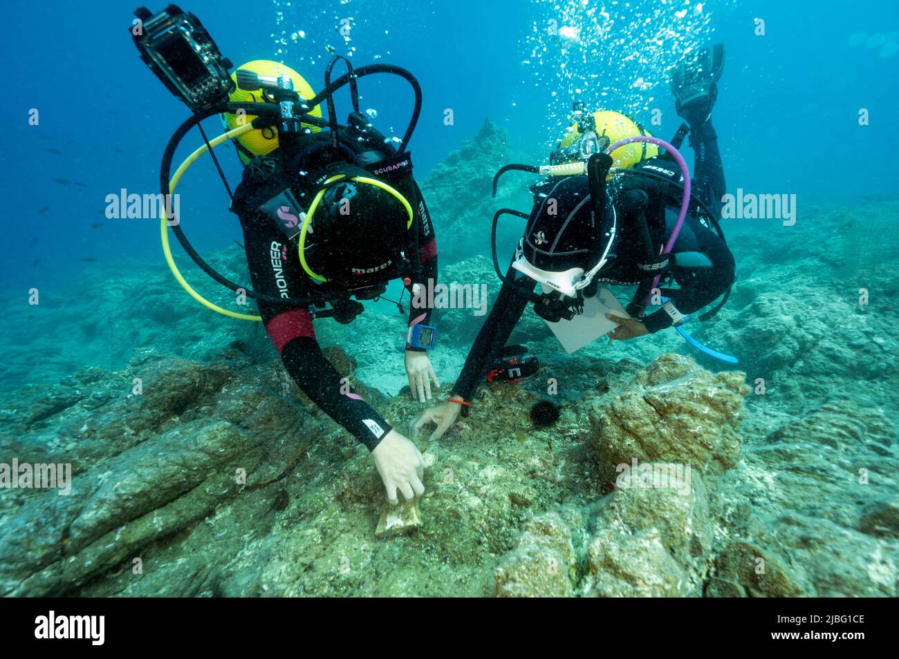 Biologi marini che esaminano l'esperimento della gabbia per il restauro di macro alghe nella baia di Gokova, in Turchia. Foto Stock