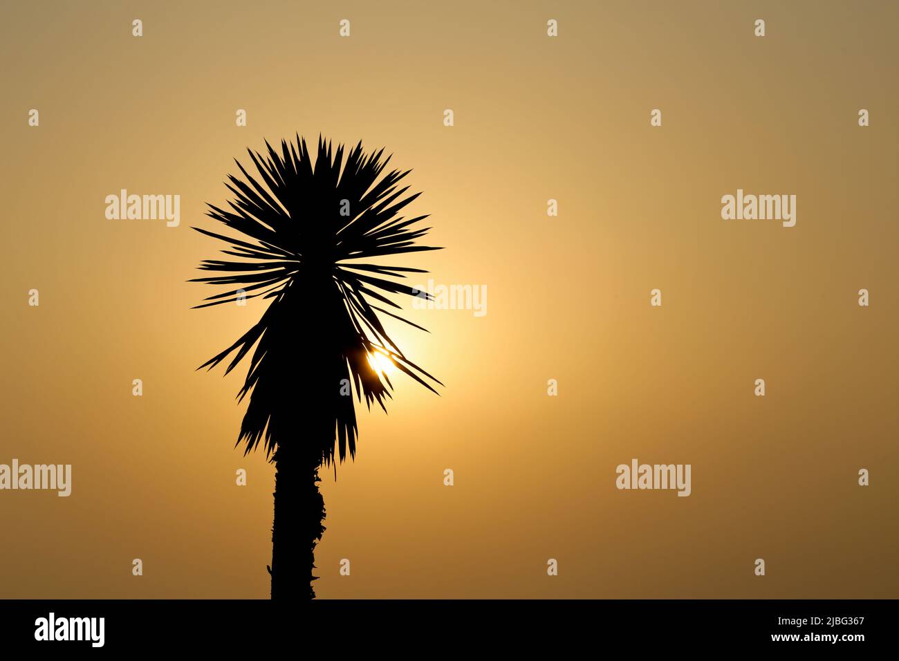 Qui viene il sole ... La primavera è qui e l'estate è vicina Foto Stock