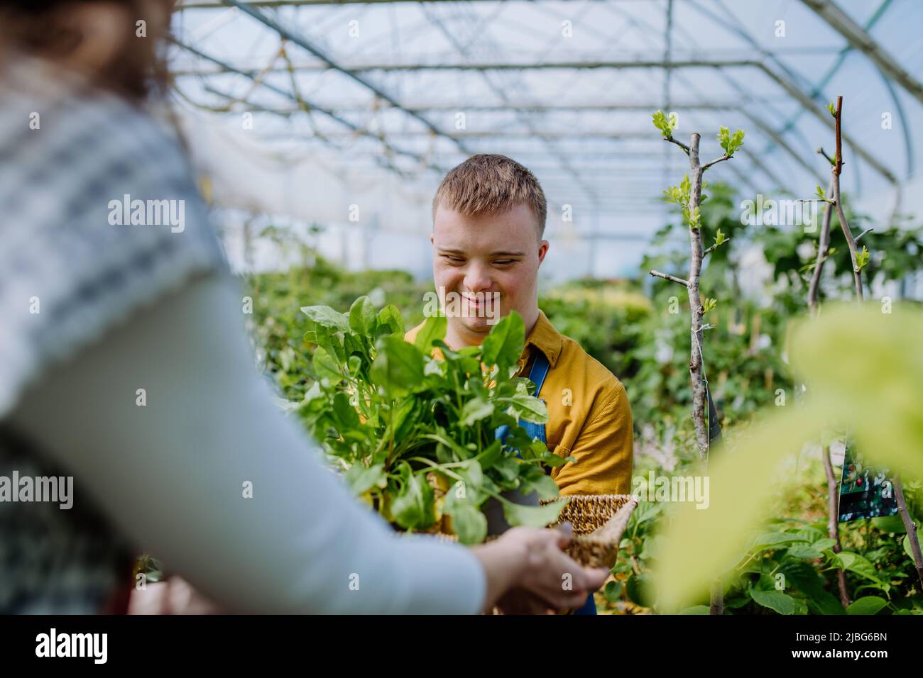 Giovane uomo con sindrome di Down che lavora come giardiniere in giardino centro Foto Stock