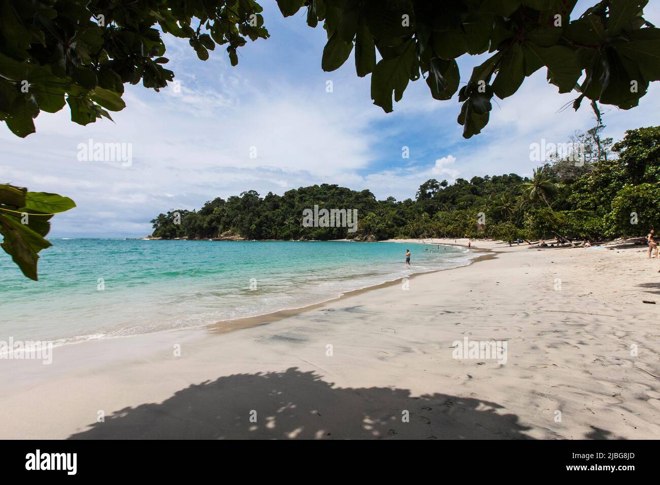 Costa Rica, America Centrale. Parco Nazionale Manuel Antonio, Costa Rica Beach, Playa Espadilla sur Foto © Federico Meneghetti/Sintesi/Alamy Stock Pho Foto Stock