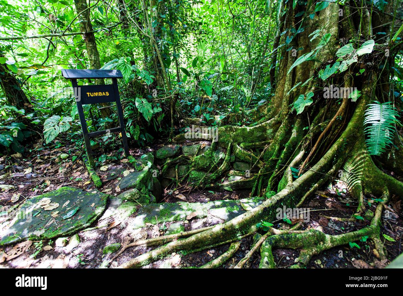 Costa Rica, America Centrale - Guayabo National Monument : rovine di un'antica civiltà che prosperava per oltre duemila anni nelle montagne o Foto Stock