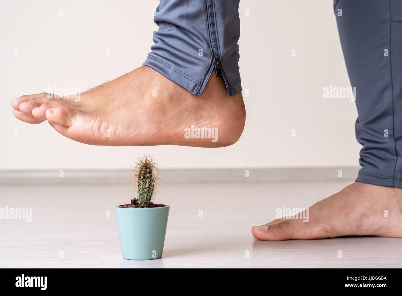 Primo piano la foto del momento piede salire su pianta di cactus come simbolo di problemi comuni del piede umano. Foto Stock