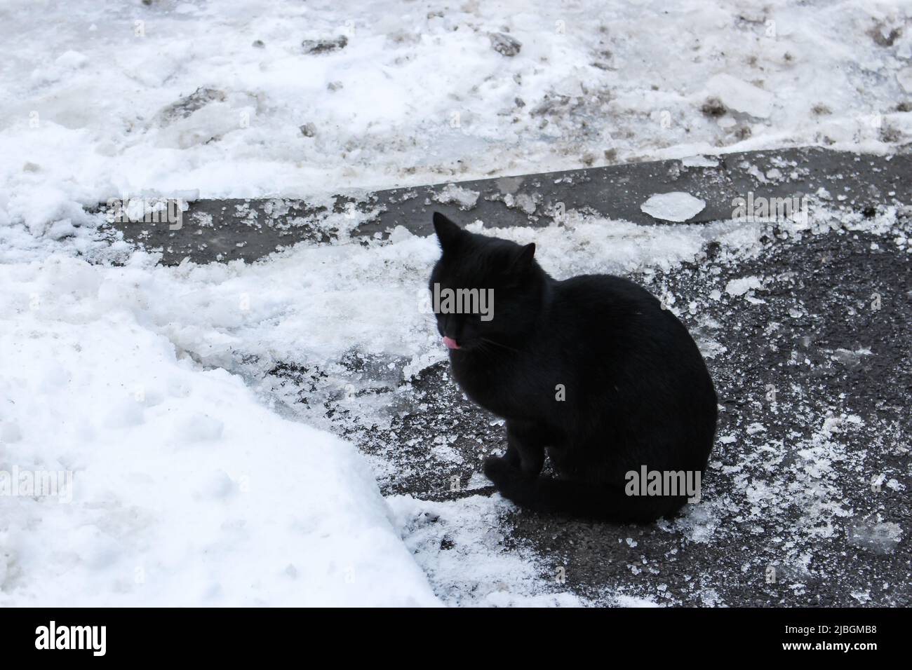 L'immagine di gatto nero seduto sul marciapiede ghiacciato con neve, Bucarest, Romania. Foto Stock