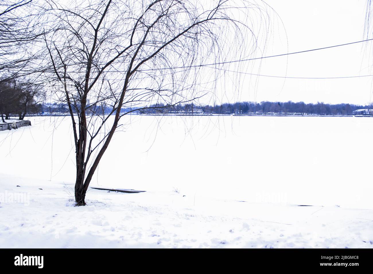 Neve e lago ghiacciato nel Parco Herastrau, Bucarest, Romania. Foto Stock