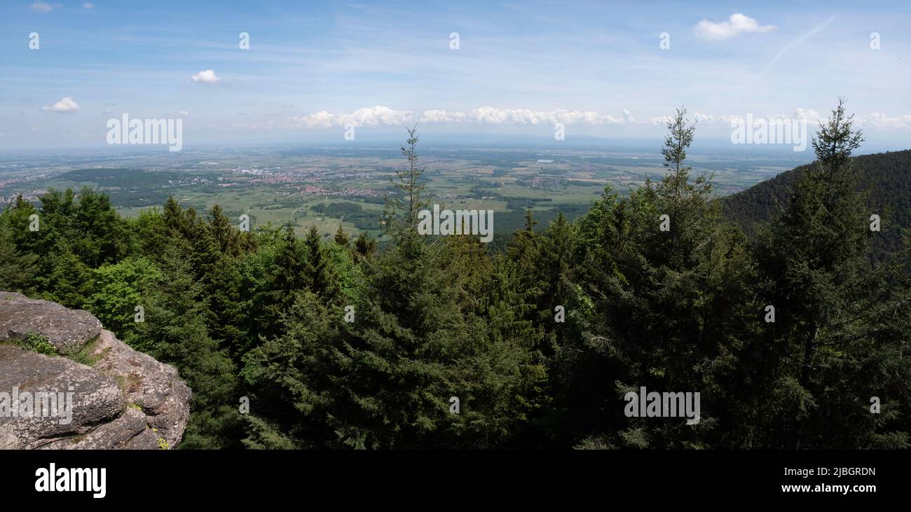 Vista panoramica dell'Alsazia francese da Mont Saint Odile vicino Obernai Foto Stock