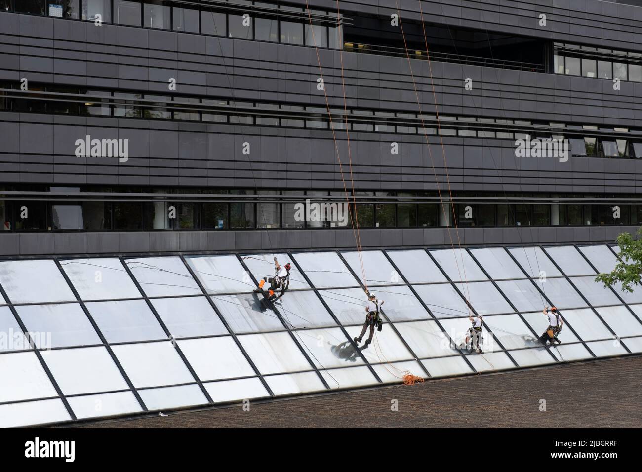 Le persone lavano le finestre di un alto edificio, luoghi difficili da raggiungere e angoli scomodi con corde, anche noto come lavaggi per abbacchiatura delle finestre Foto Stock