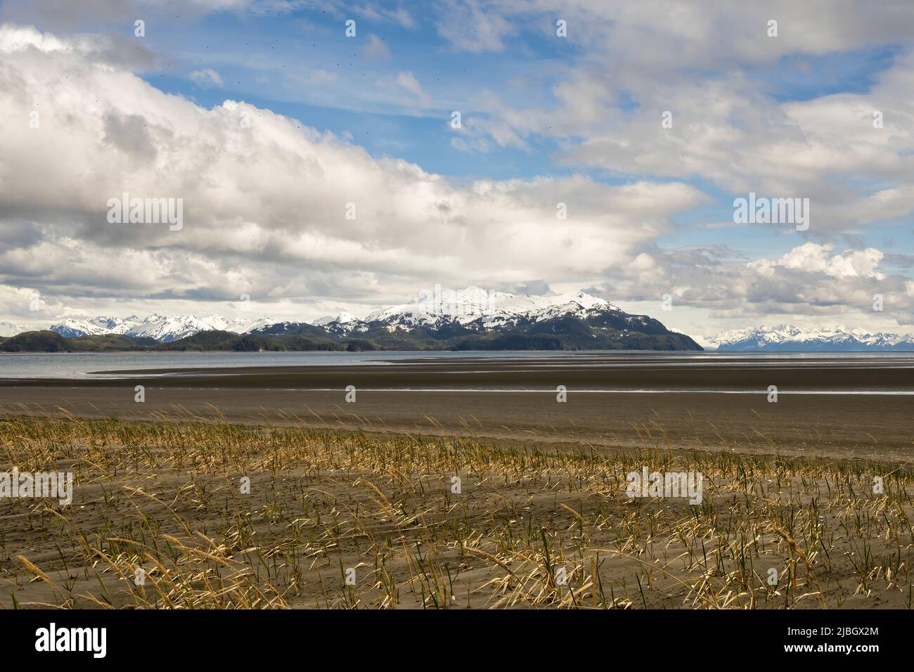 Vista panoramica delle Chugach Mountains e Orca Inlet da Little Egg Island nel Delta del fiume Copper dell'Alaska. Foto Stock