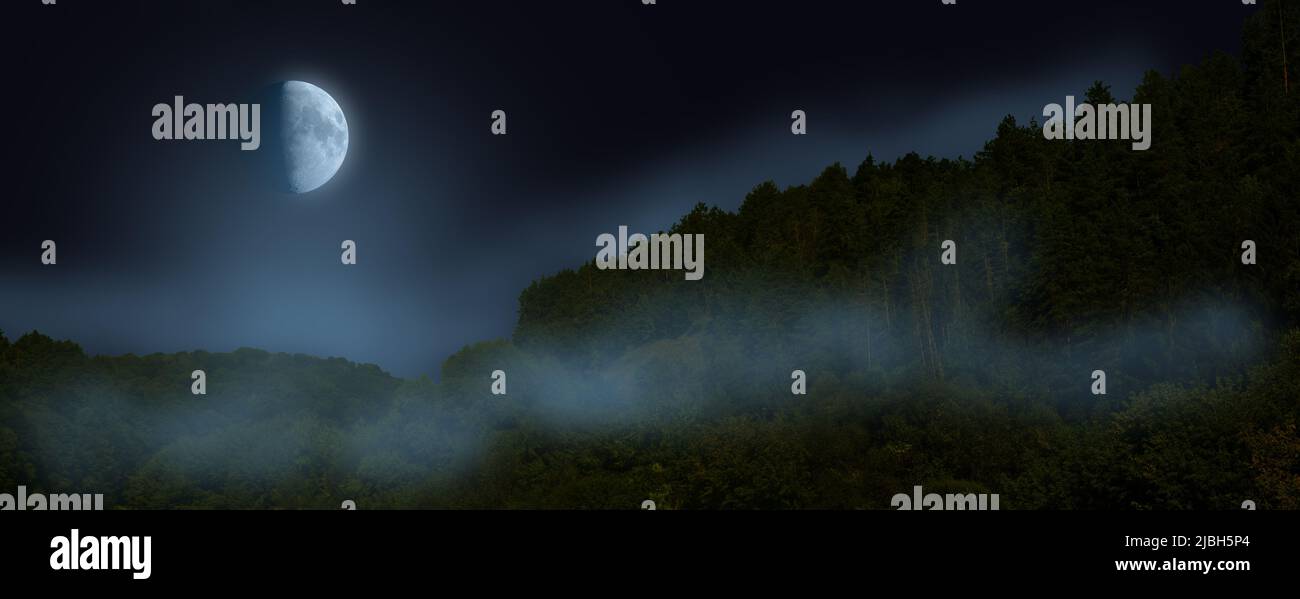 Luna di notte, cielo stellato. Nebbia su boschi di montagna Foto Stock