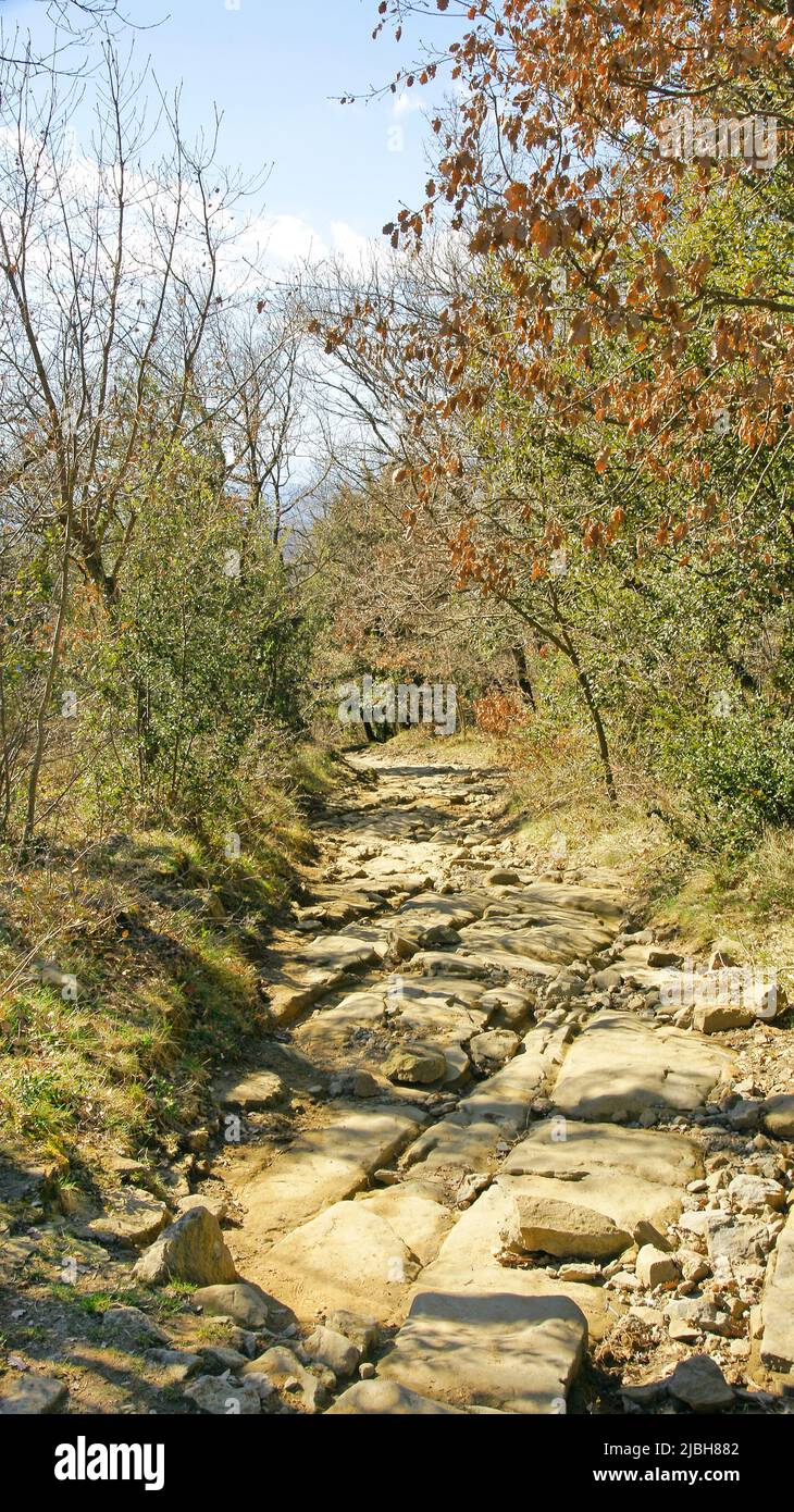 Strada per la Foradada in Cantonigros, Comarca del Osona, Barcellona, Catalunya, Spagna, Europa Foto Stock