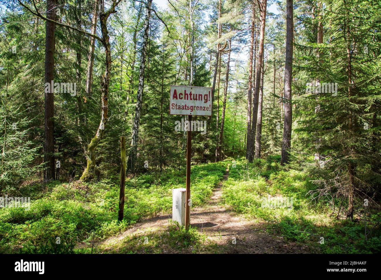 Erlebnisweg Heinrichs, un percorso escursionistico nel Waldviertel - nella foresta Foto Stock