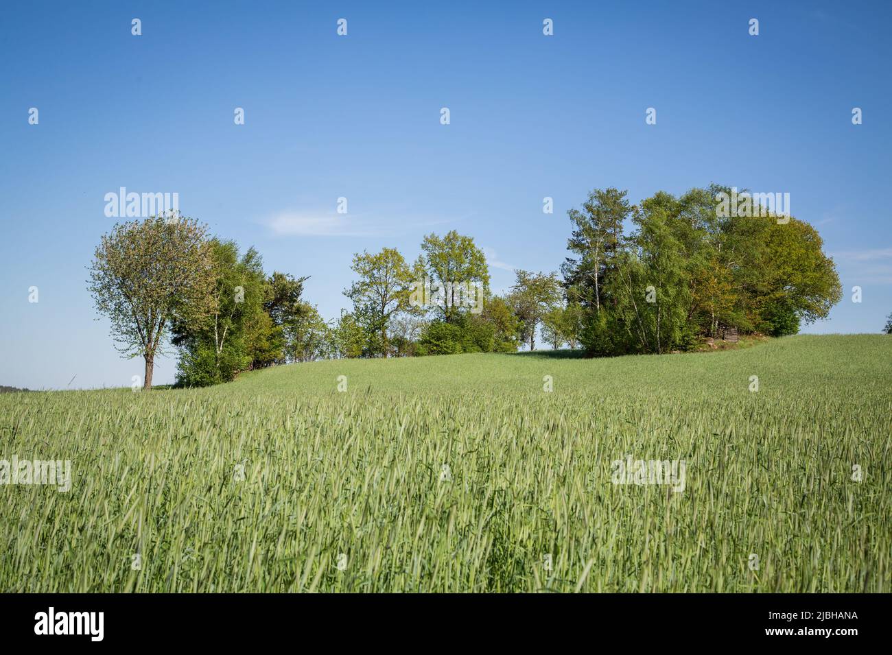 Erlebnisweg Heinrichs, un percorso escursionistico nel campo Waldviertel Foto Stock